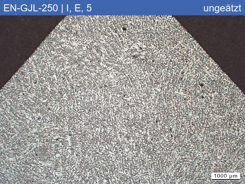 EN-GJL-250 | 5.1301 Graphite classification and fracture appearance in the tensile test - 01