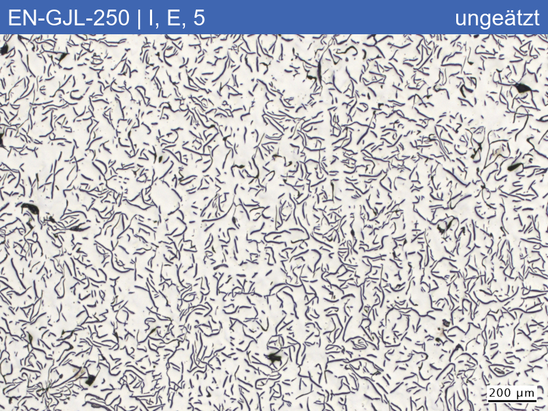 EN-GJL-250 | 5.1301 Graphite classification and fracture appearance in the tensile test - 02