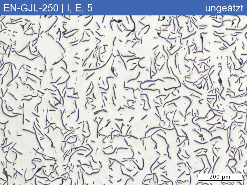 EN-GJL-250 | 5.1301 Graphitklassifizierung und Bruchaussehen im Zugversuch - 03