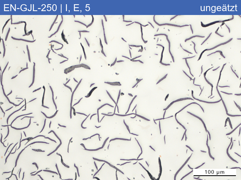 EN-GJL-250 | 5.1301 Graphite classification and fracture appearance in the tensile test - 04