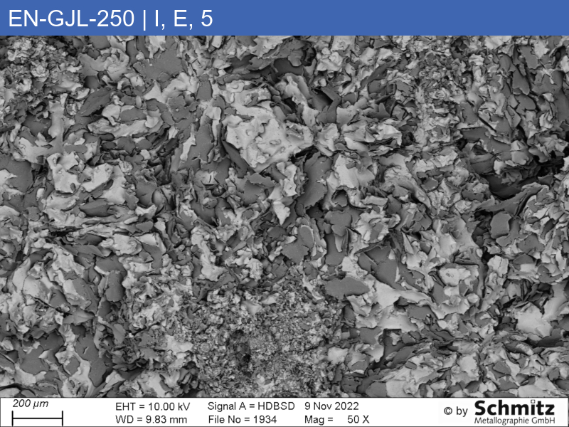 EN-GJL-250 | 5.1301 Graphite classification and fracture appearance in the tensile test - 13