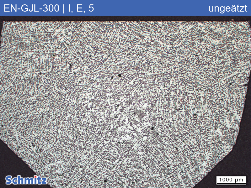 EN-GJL-300 | 5.1302 graphite classification and fracture appearance in tensile test - 01