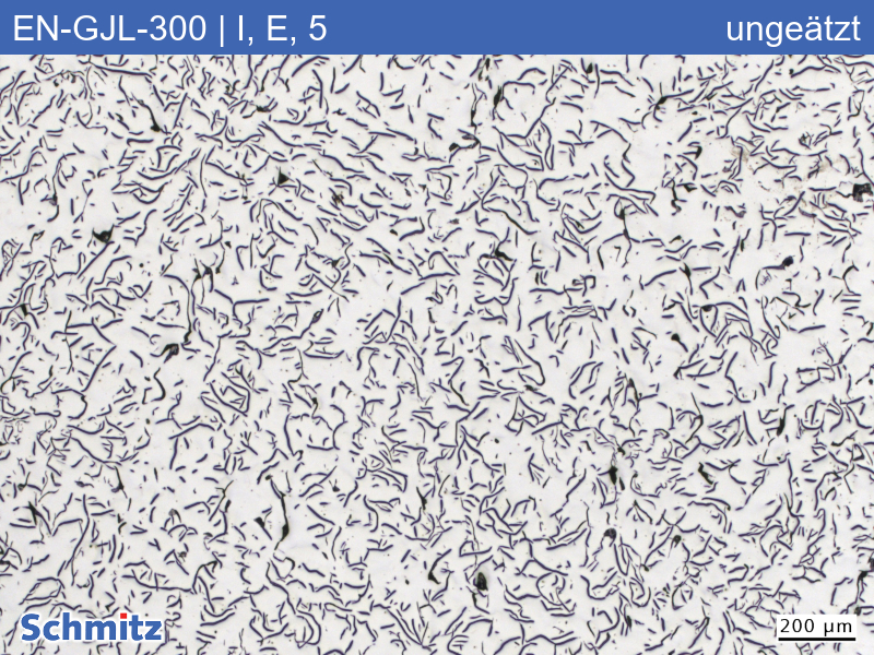 EN-GJL-300 | 5.1302 Graphitklassifizierung und Bruchaussehen im Zugversuch - 02