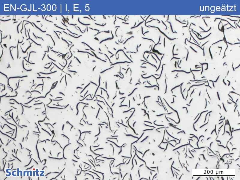 EN-GJL-300 | 5.1302 graphite classification and fracture appearance in tensile test - 03