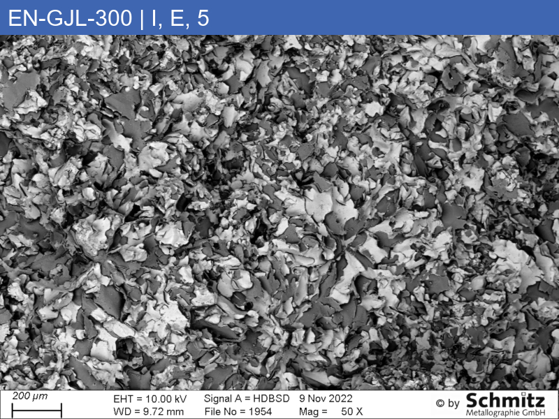 EN-GJL-300 | 5.1302 graphite classification and fracture appearance in tensile test - 14