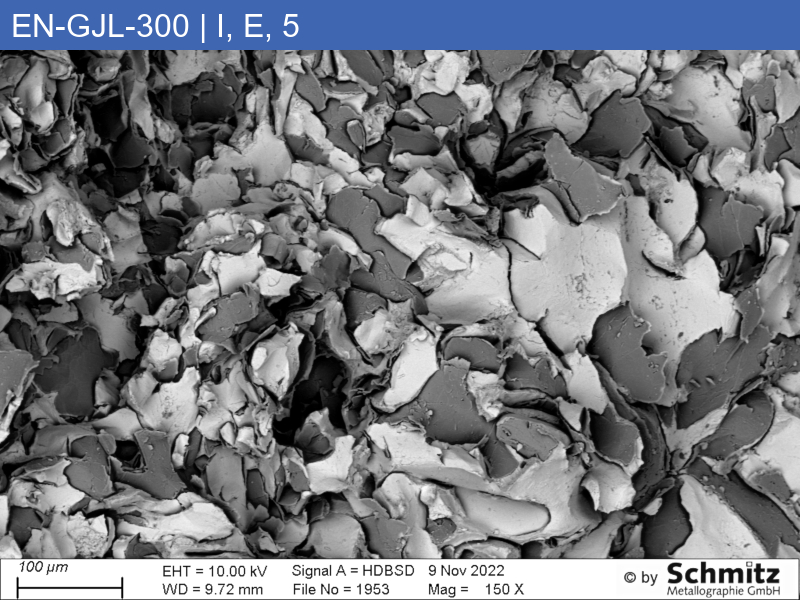 EN-GJL-300 | 5.1302 Graphitklassifizierung und Bruchaussehen im Zugversuch - 16