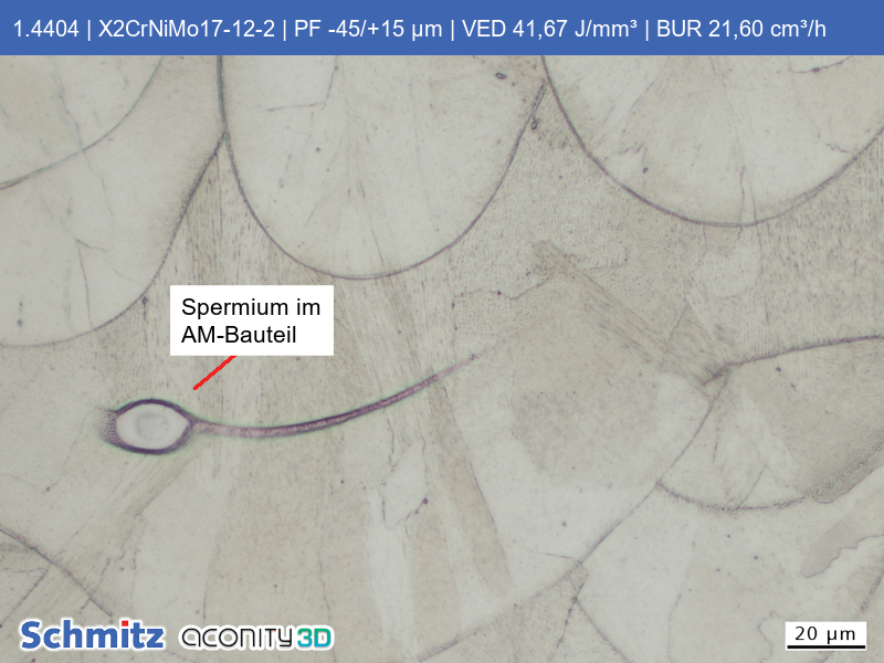 1.4404 | X5CrNoMo17-12-2 | PF -45/+15 µm | VED 41,67 J/mm³ | BUR 21,60 cm³/h - 17