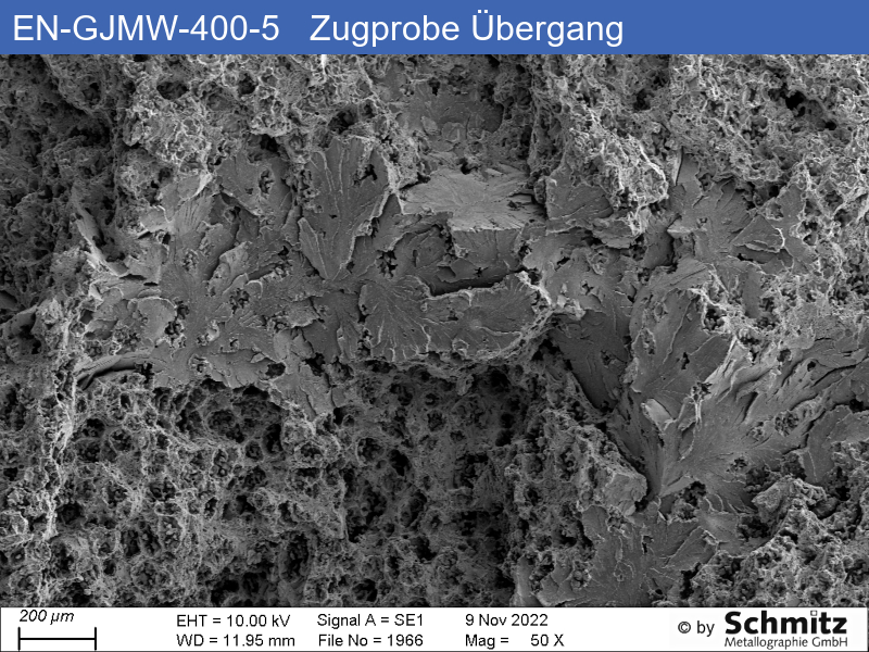 EN-GJMW-400-5 | Glühung A - 29