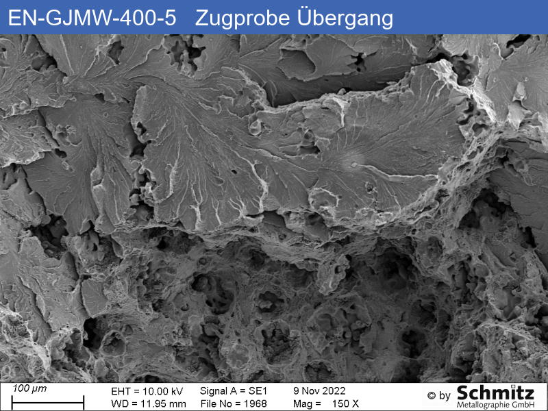 EN-GJMW-400-5 | Glühung A - 31