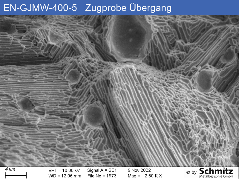 EN-GJMW-400-5 | Glühung A - 36