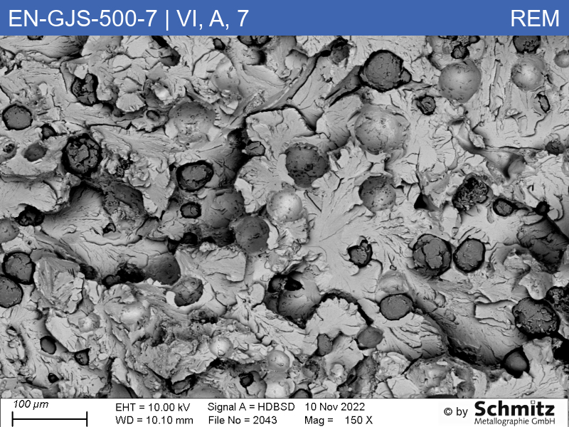 EN-GJS-500-7 | 5.3200 | Graphite classification and fracture appearance in tensile test - 13