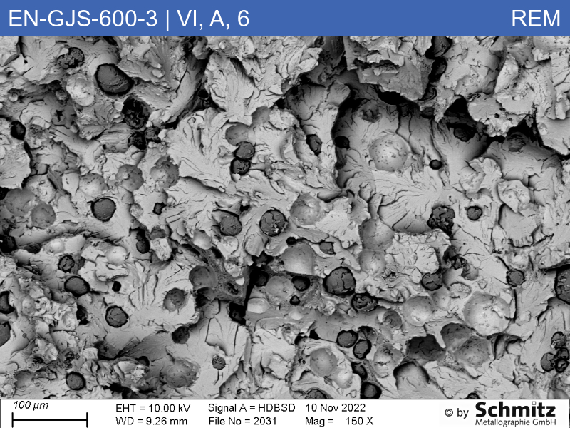 EN-GJS-600-3 | 5.3201 | Graphite classification and fracture appearance in tensile test - 13