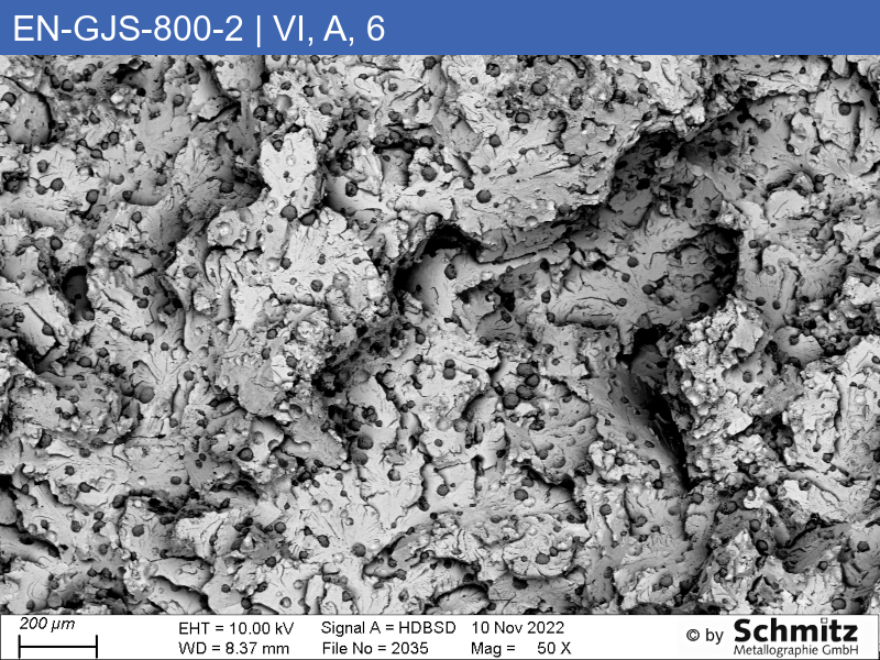 EN-GJS-800-2 | 5.3301 Graphite classification and fracture appearance in tensile test - 10