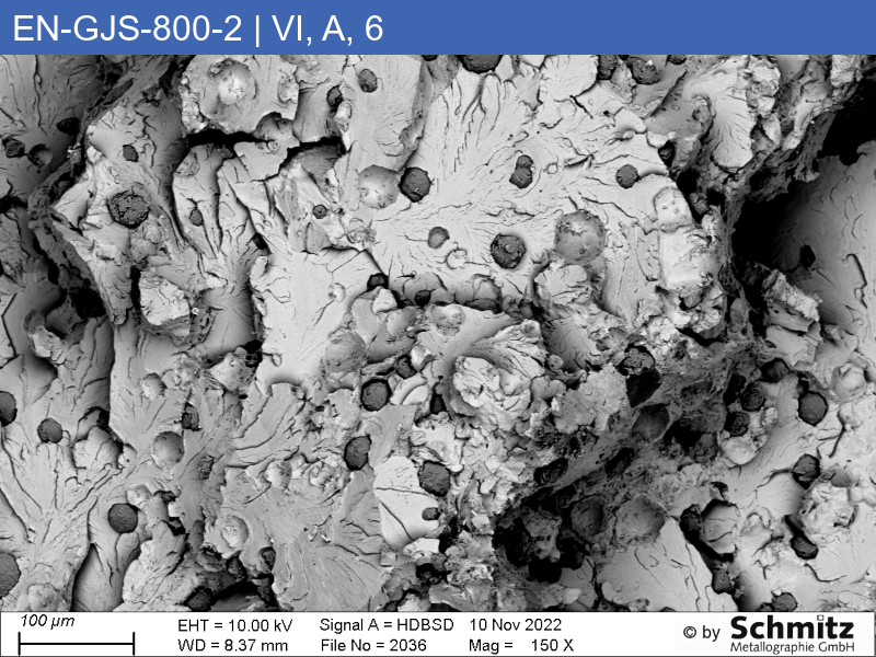 EN-GJS-800-2 | 5.3301 Graphite classification and fracture appearance in tensile test - 11