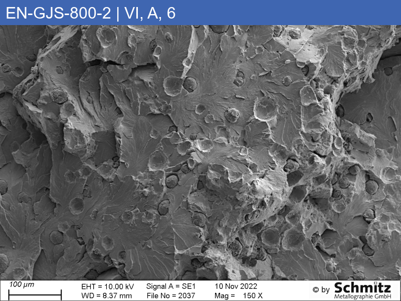 EN-GJS-800-2 | 5.3301 Graphite classification and fracture appearance in tensile test - 12