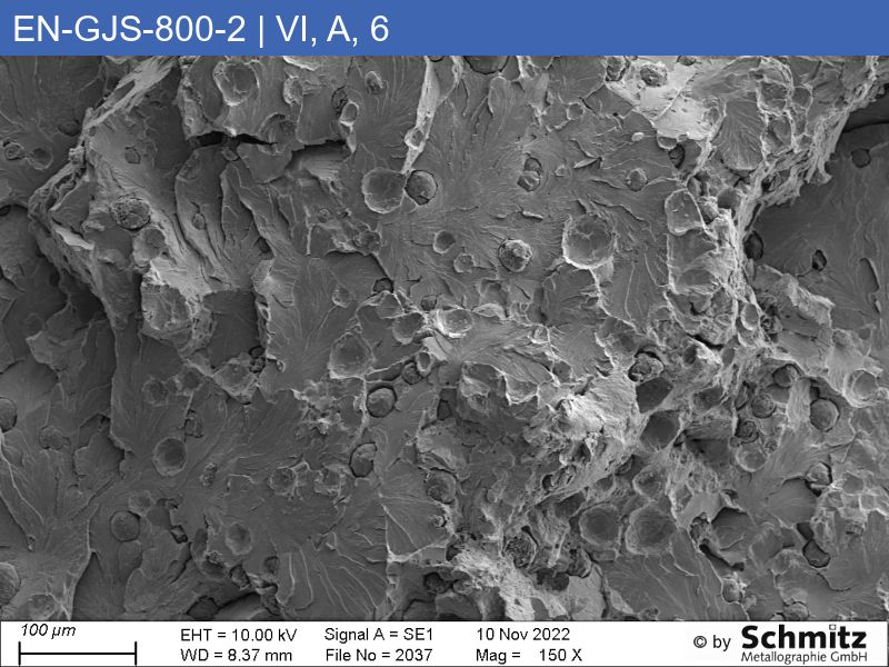 EN-GJS-800-2 | 5.3301 Graphitklassifizierung und Bruchaussehen im Zugversuch - 12