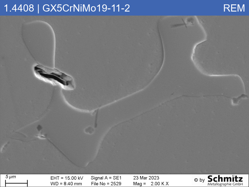 1.4408 | GX5CrNiMo19-11-2 - 20