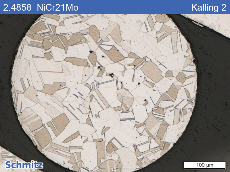 2.4858 | NiCr21Mo wire mesh - 02