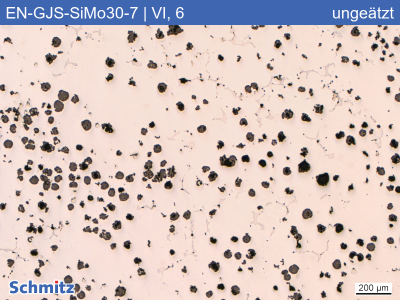 EN-GJS-SiMo30-7 | 5.3112 Graphitklassifizierung und Bruchaussehen im Zugversuch - 01