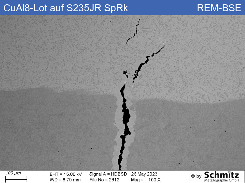 CuAl8-Lot auf S235JR, flüssigmetallinduzierte Spannungsrisskorrosion - 25