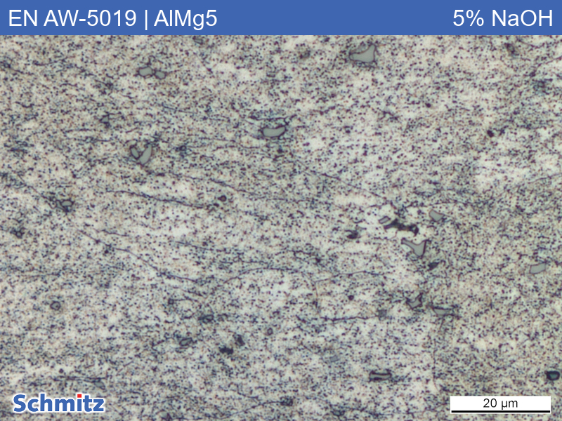 EN AW-5019 | AlMg5 interkristalline Korrosion - 07