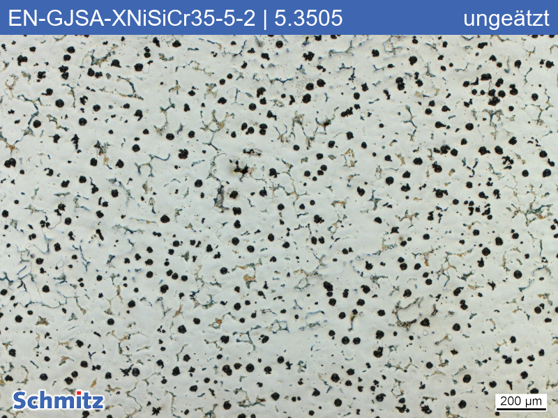 EN-GJSA-XNiSiCr35-5-2 | 5.3505 | D5S - 01