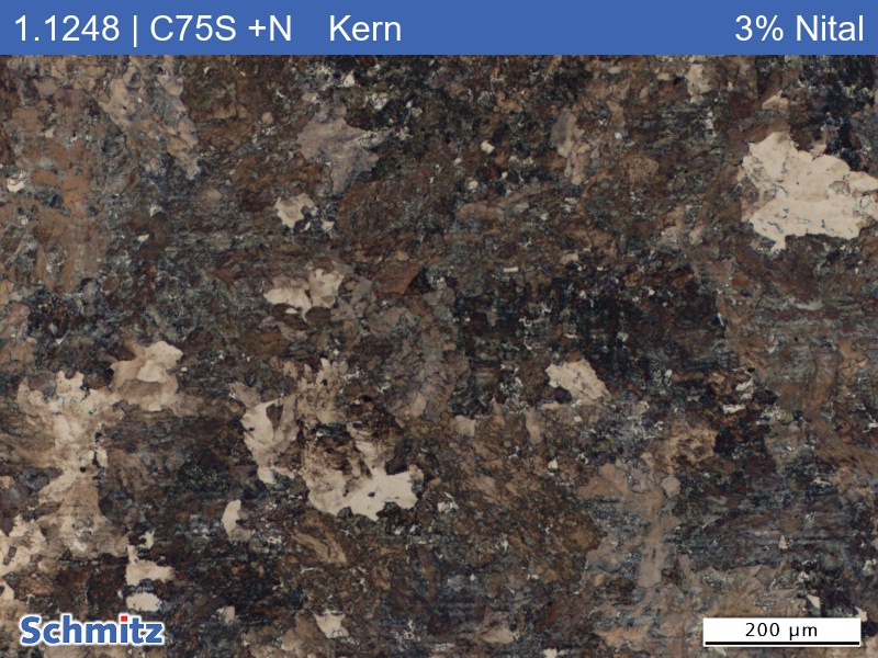 1.1248 | C75S +N Normalized at 850 °C (furnace cooling) - 02