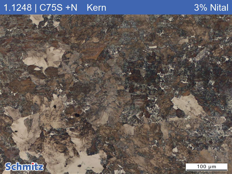 1.1248 | C75S +N Normalized at 850 °C (furnace cooling) - 03