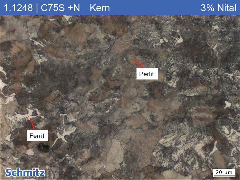 1.1248 | C75S +N Normalized at 850 °C (furnace cooling) - 04