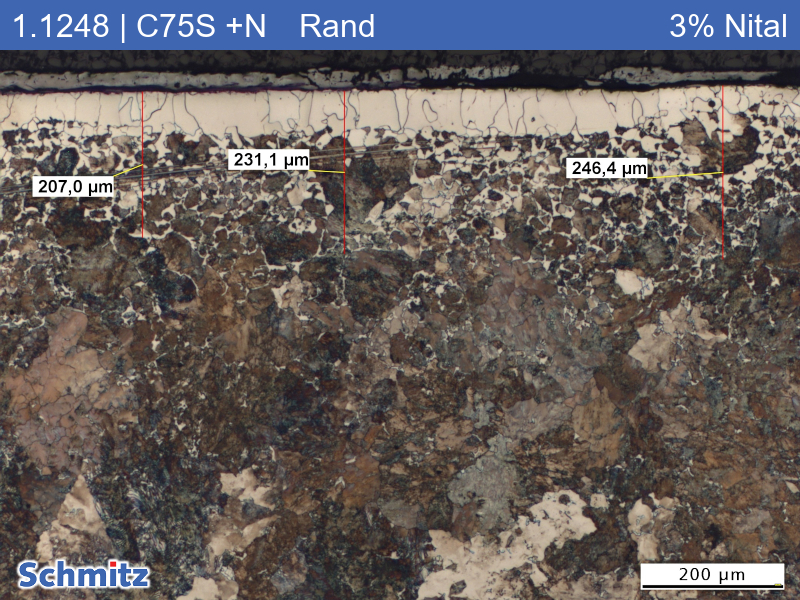 1.1248 | C75S +N Normalized at 850 °C (furnace cooling) - 05